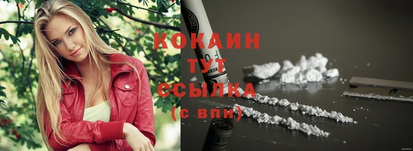 прущие грибы Балахна