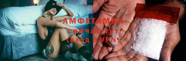 прущие грибы Балахна