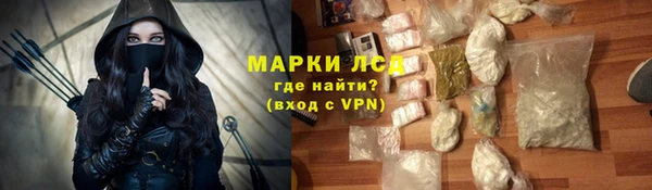 прущие грибы Балахна