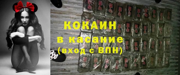 прущие грибы Балахна