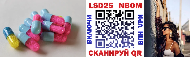 kraken как войти  Суворов  Лсд 25 экстази ecstasy 